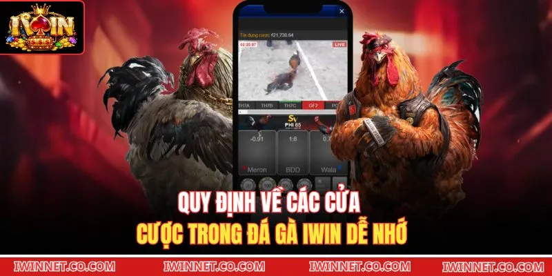 Quy định về các cửa cược trong đá gà Iwin dễ nhớ